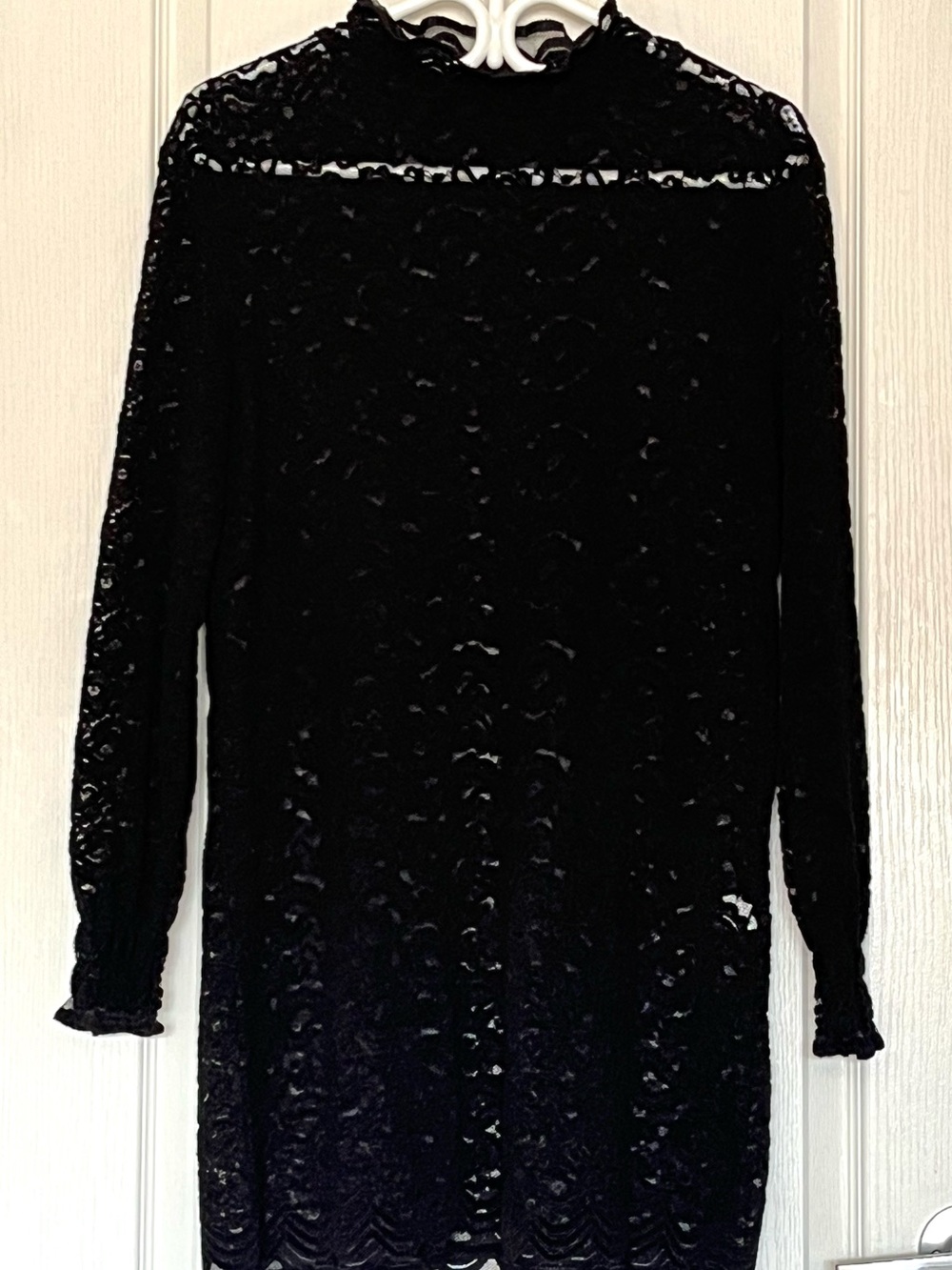 Black Sheer Lace Dress Long Sleeve Ruffle Mock Neck Whimsigoth Dark Romantic